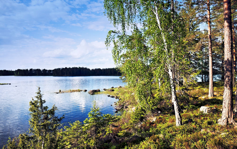 En sjö i Gästrikland